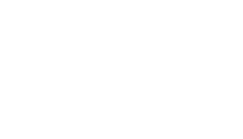 Centurion Mobile Cleaning